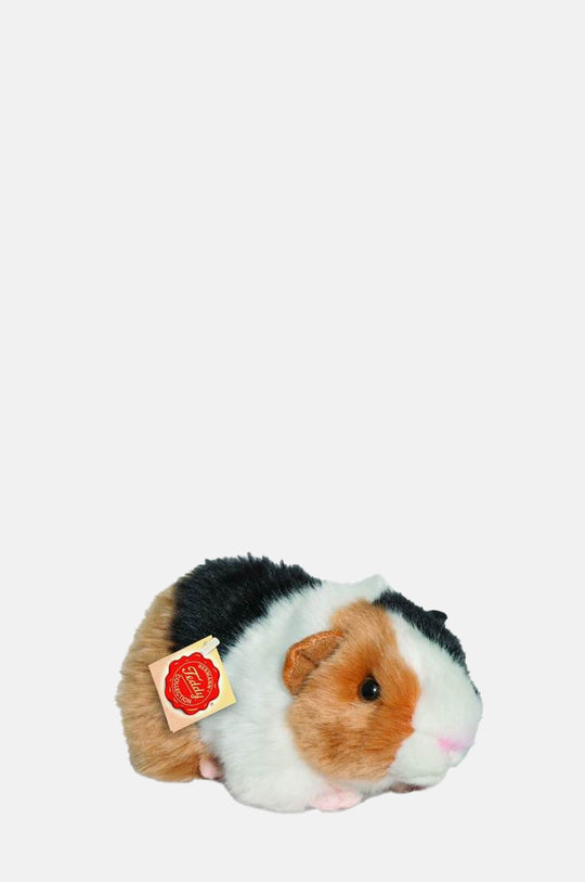 Guinea Pig