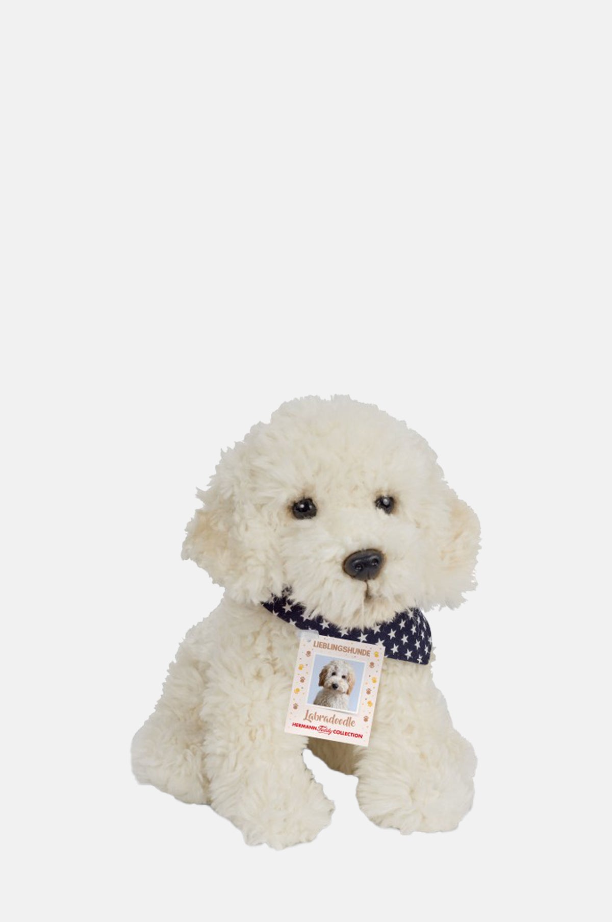 Teddy Hermann Labradoodle.