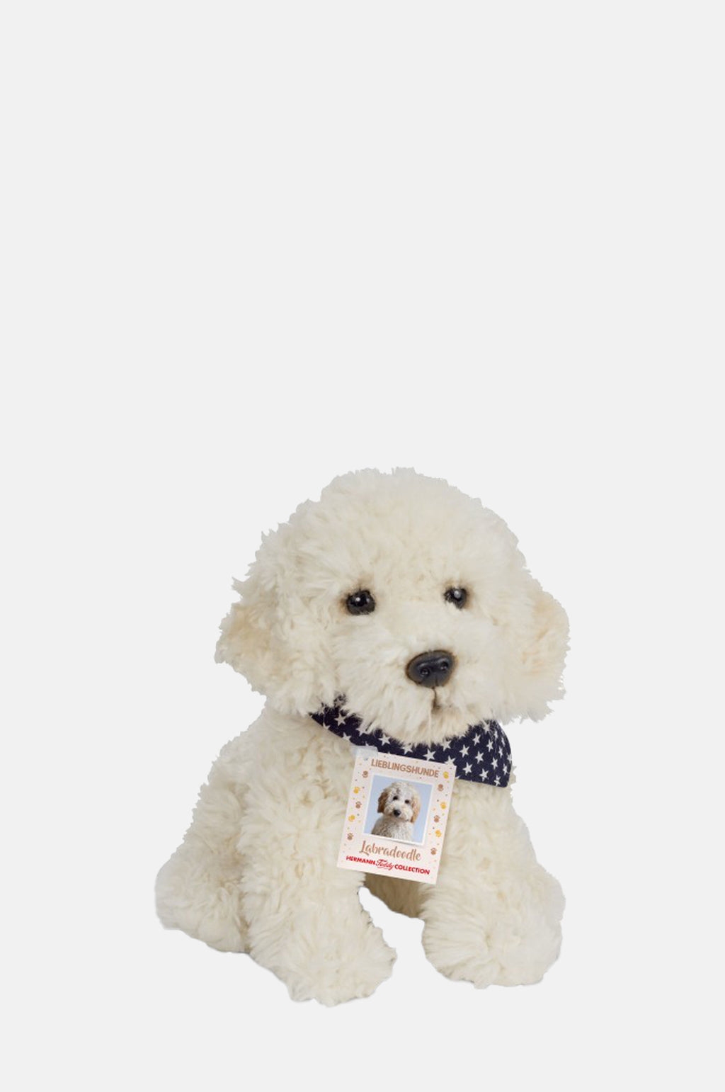 Teddy Hermann Labradoodle.