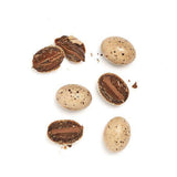 Old Cotswold Legbar Eggs 150g