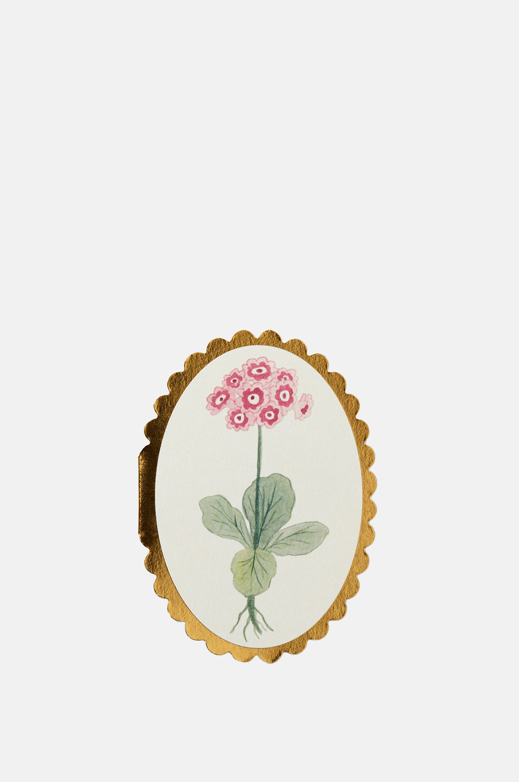 Wanderlust Paper Co Auricula Mini Card.