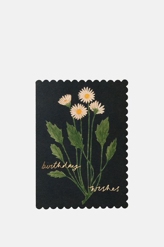 Botanical Daisy Birthday Wishes Card