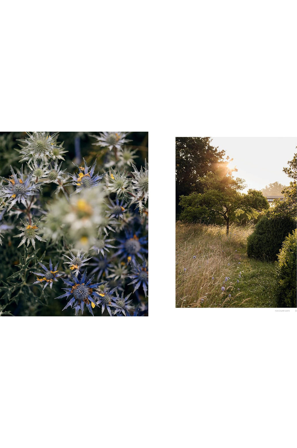 Wonderlands: British Garden Designers At Home