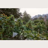 Year At The Parsonage
