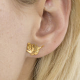 Feather Stud Earrings Gold