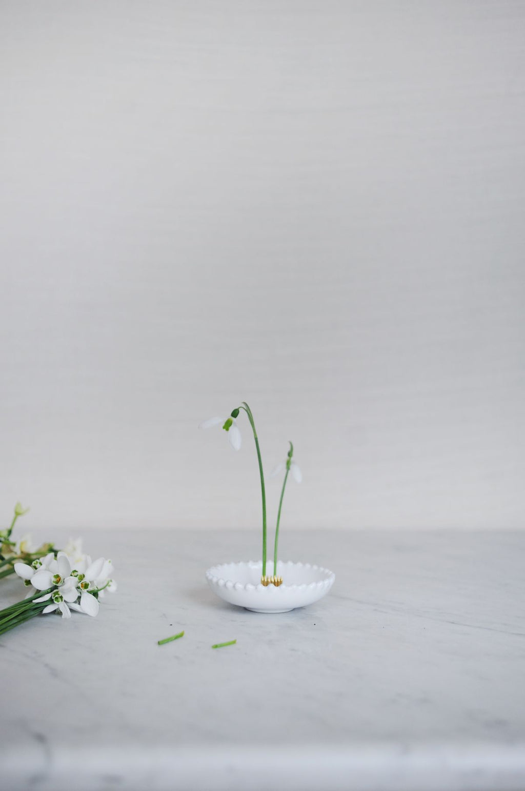 Japanese Niwaki Kenzan Ikebana Flower Frog - Victoria & Vancouver BC Canada  - Gardener's Kit