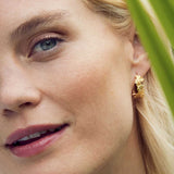Wildrose Wide Hoop Earrings Gold