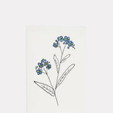 Forget Me Not Card