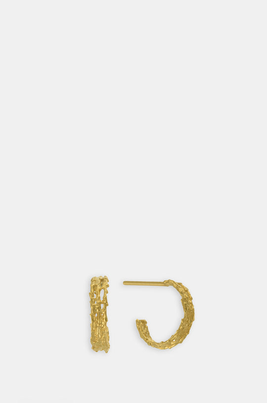 Nest Structure Mini Hoop Earrings Gold Plate